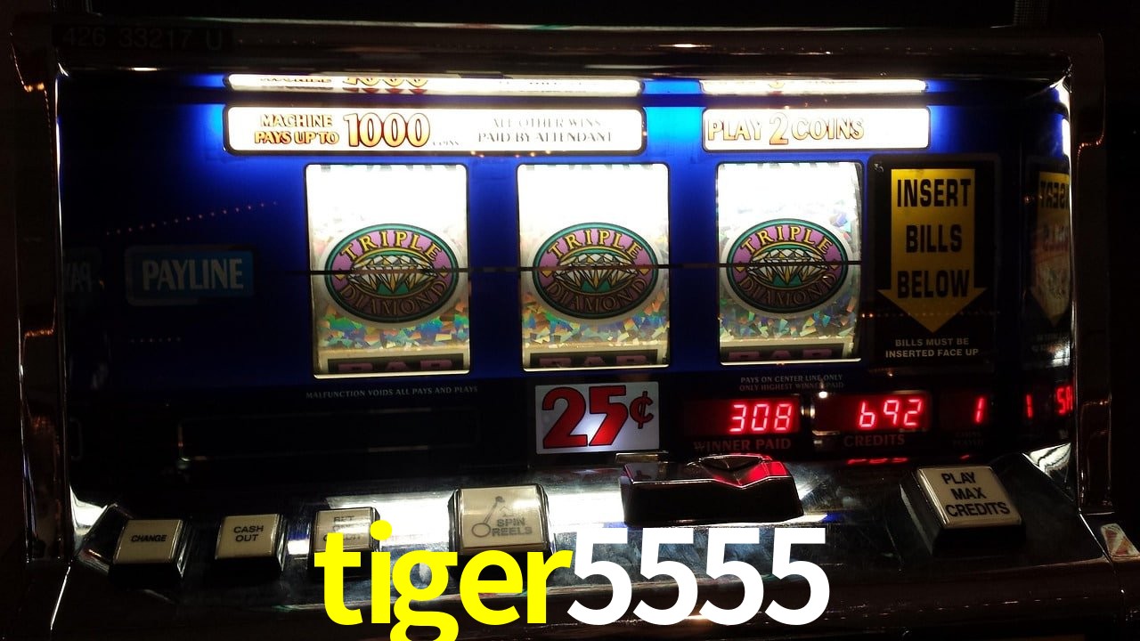 Basketball Betting tiger5555